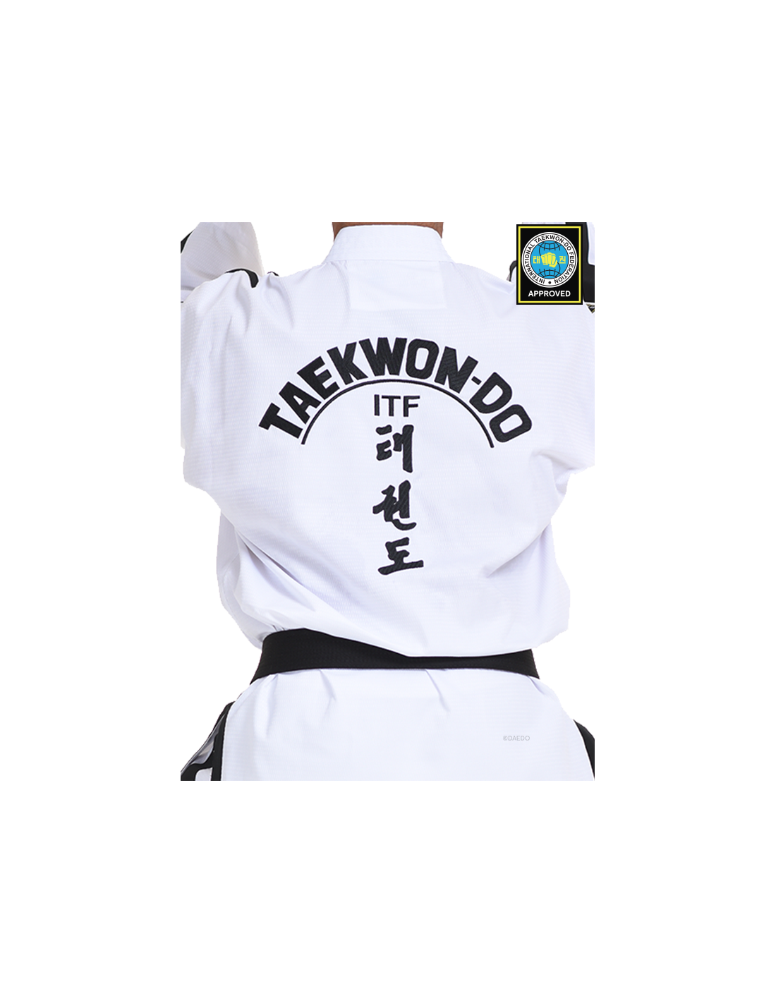 ITF APPROVED DOBOK INTERNATIONAL INSTRUCTOR & MASTER*++*ITF APPROVED DOBOK INTERNATIONAL INSTRUCTOR & MASTER